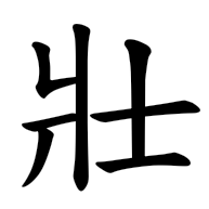 壯, regular form
